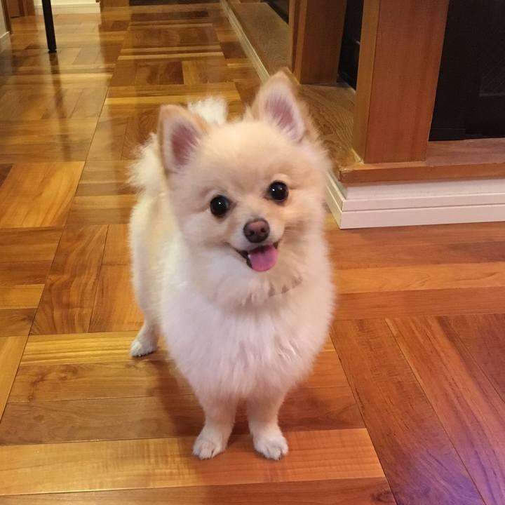 92dc3e17 4e78 4032 9d0d f25345b42ba7