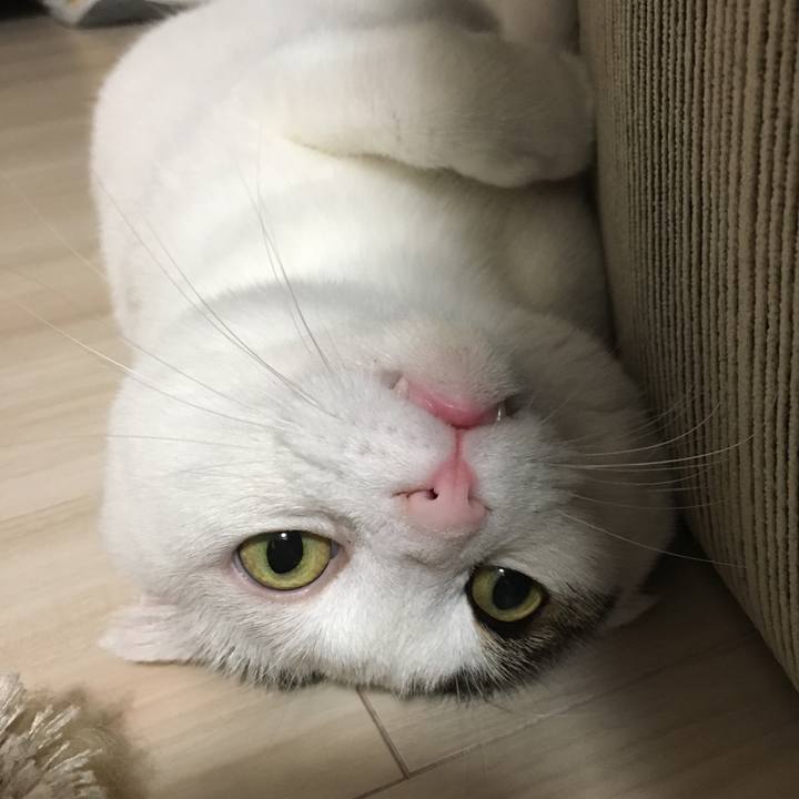 92dd266e b508 435b ad27 4779533a48b4