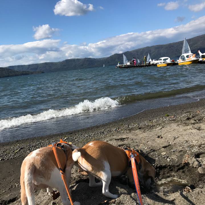 92ddc85a 6637 4193 885f 54f9a59b579a