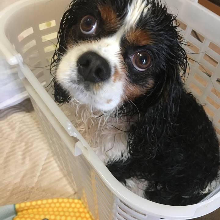 92ded901 9bc8 4f0c b09c e5c8ef4ebc91