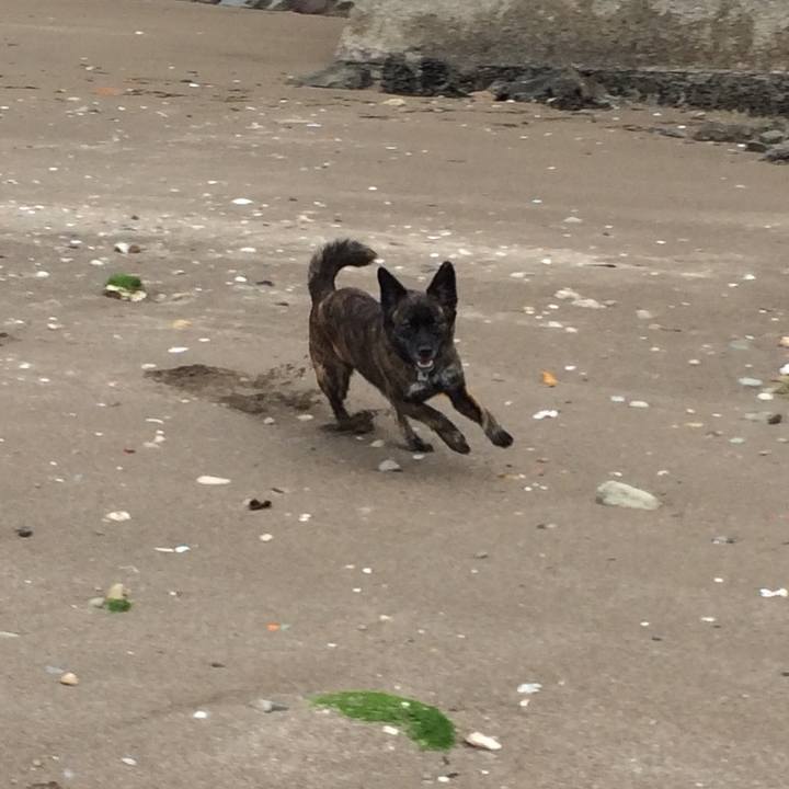 92df1e9d e1ac 4dfa b975 997063ee1abc