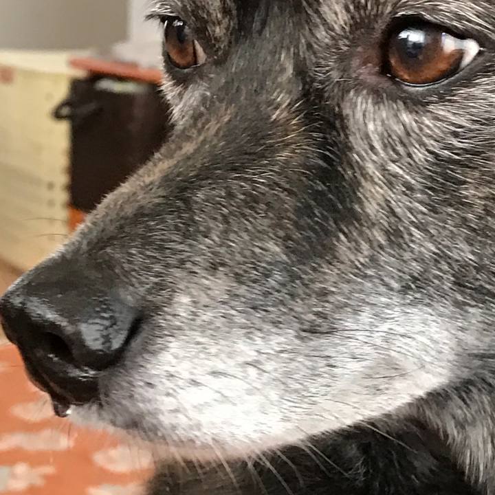 92df51d1 71ba 4a4a 8f65 1471471c36cb