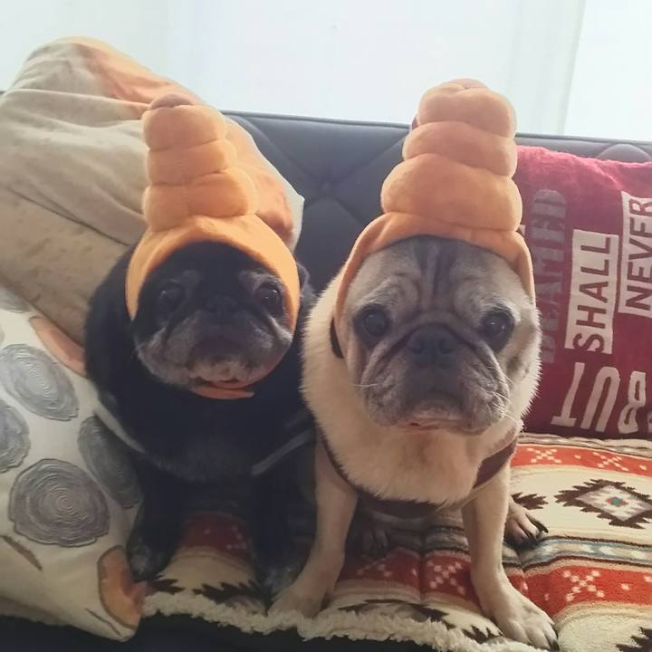 92df8168 f90b 4490 9f3c 352cfb848711