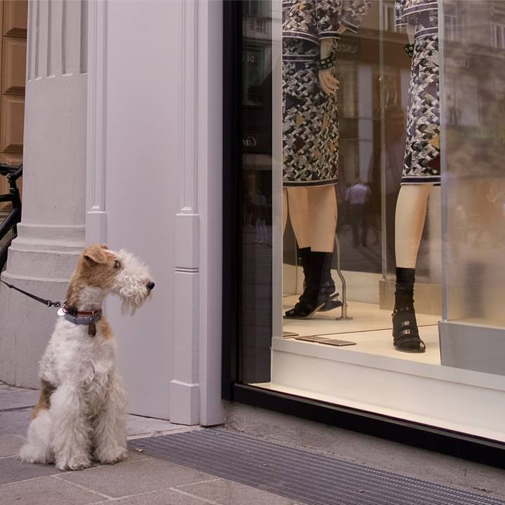 92dff0b1 c13c 4356 bd9b 55340aa229ff