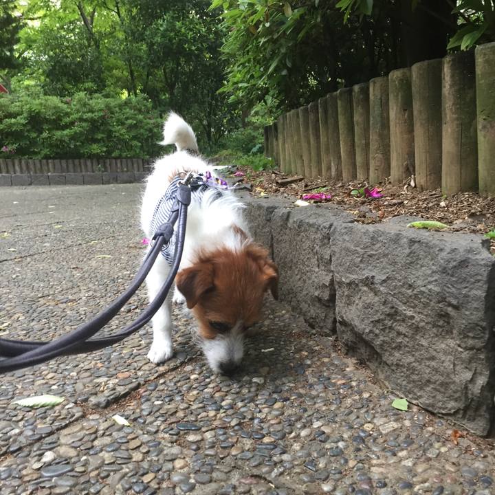 92e0310b 70a3 4110 9e05 6d61458fbf4c