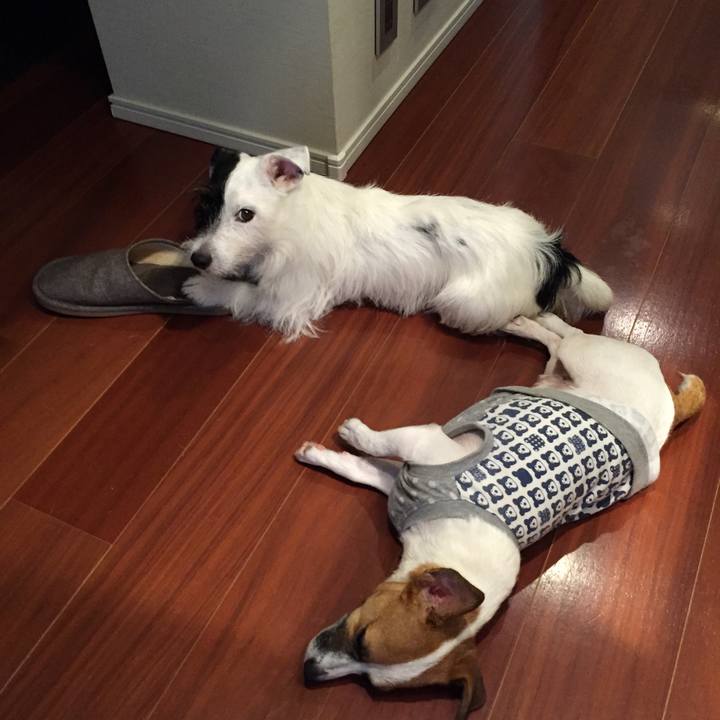 92e0f523 c672 4f5e 8876 5419cc097835