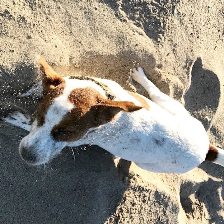 92e13622 ad10 4223 9b1e b748ccbe400c