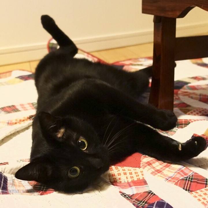 92e17035 5d30 48f9 8463 0cfc58202c28