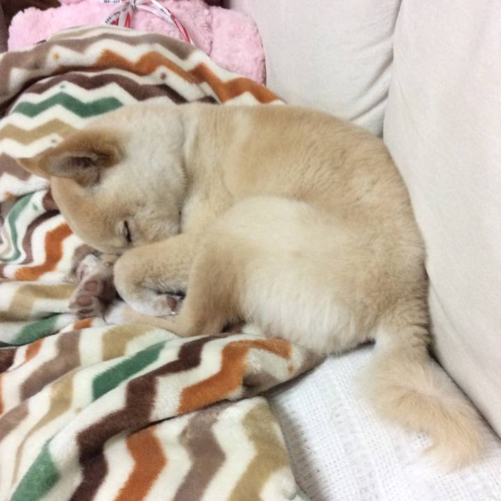 92e1852c 8dbd 47e7 921a 4be94219aa69