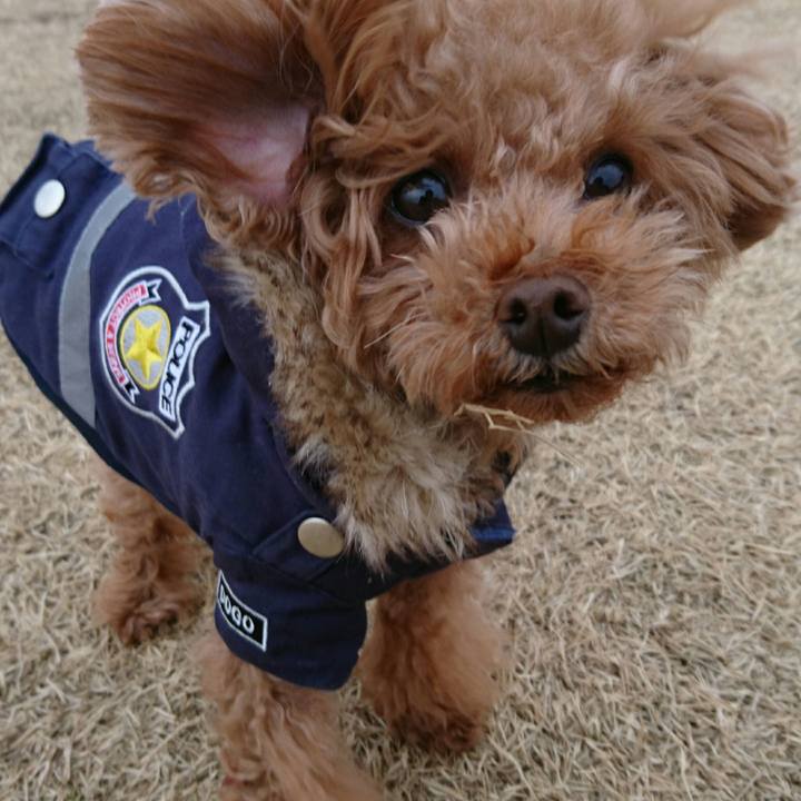 92e18ec4 e121 41d6 b907 72a32f198918