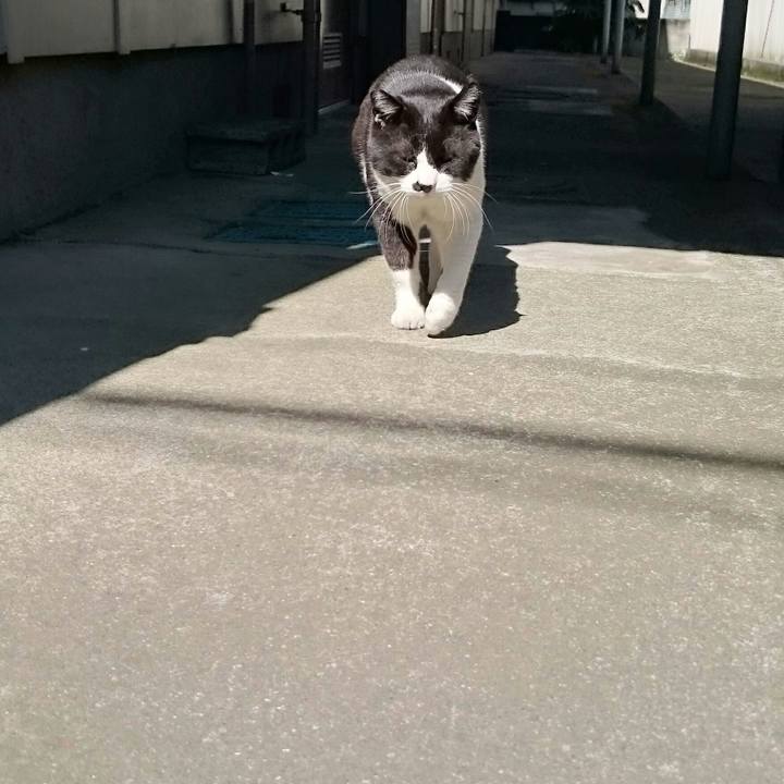 92e19206 99df 4220 952e 2f846b2316cd