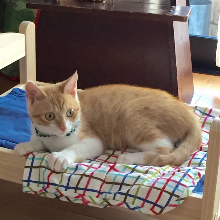 92e1b2b2 ca75 4350 a832 28ad997488cb