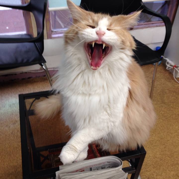 92e2bf57 4fe2 4162 9c06 4d8f5bb70d64