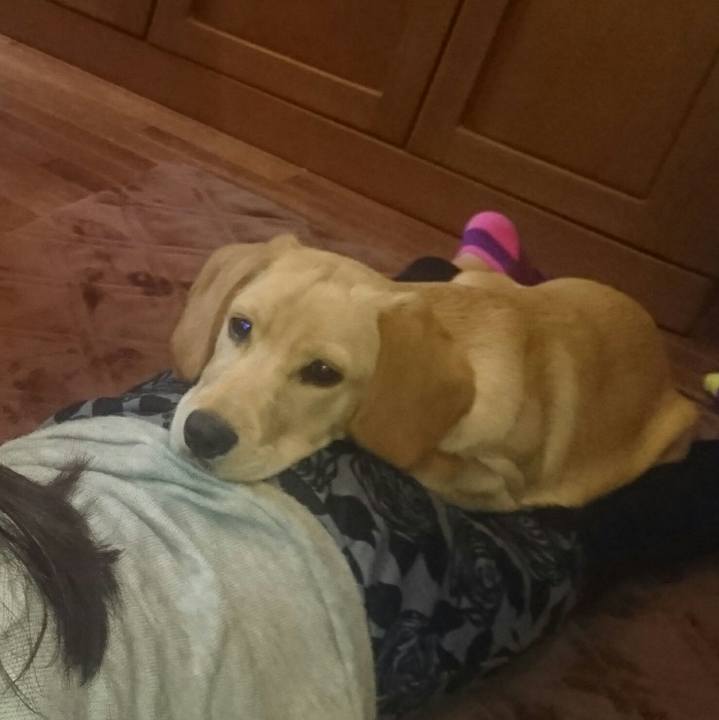 92e2cd2d dada 404c a2ef 8802dba5c7ef