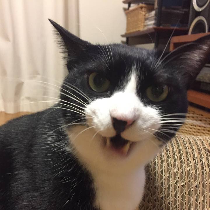 92e33d5b 5145 417d 809e 1e20e7339e06