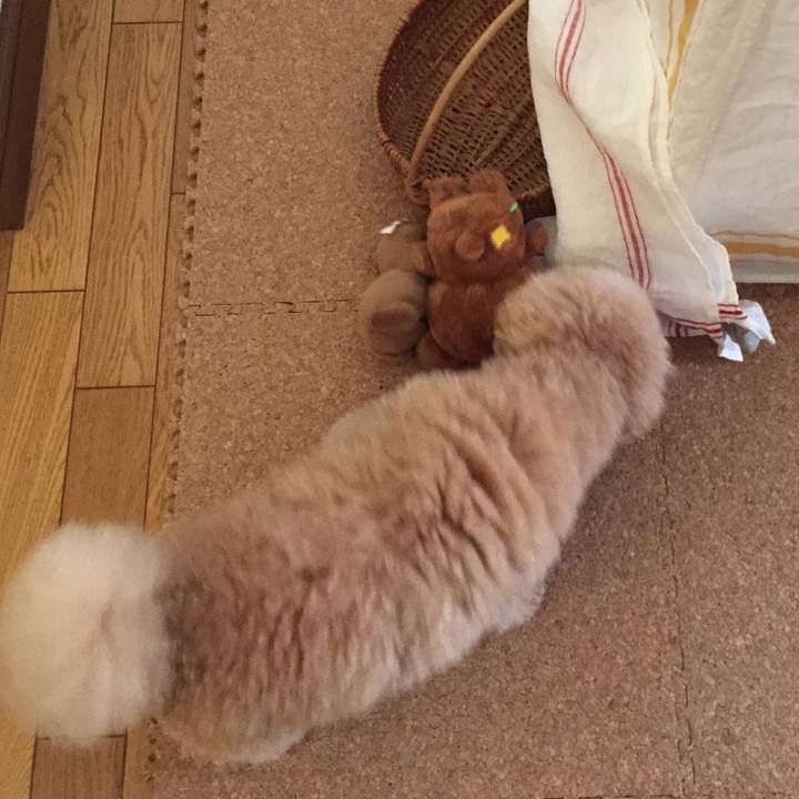 92e386f5 a61c 4f67 a6c4 6ec51cf93a88