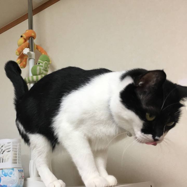 92e3b5f6 0038 4ce2 a795 2759e3e16fe4