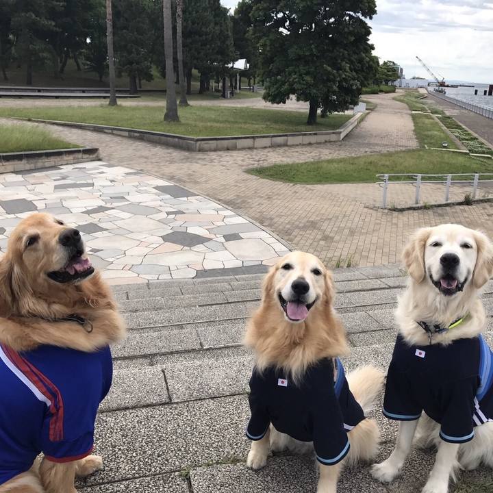 92e3be53 89c4 4d68 93e6 71d70c3d4db3