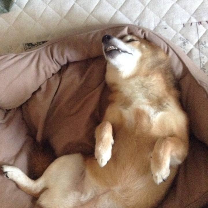 92e4f18a d40d 48e5 b224 a2857df5274c