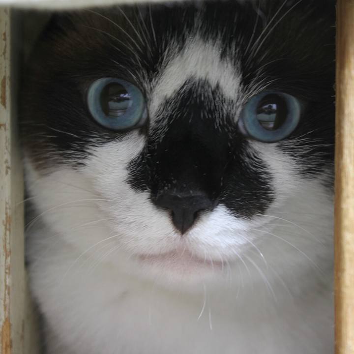 92e51e05 7c5e 485d 8c25 e4323b83bc73