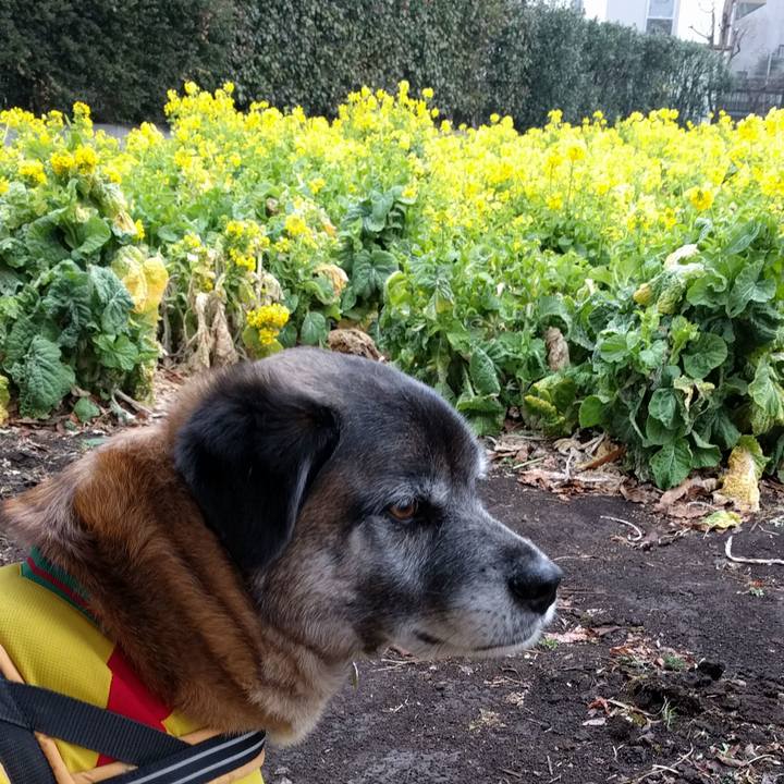 92e525af 0a61 44f1 97a6 ce2cd04982c7