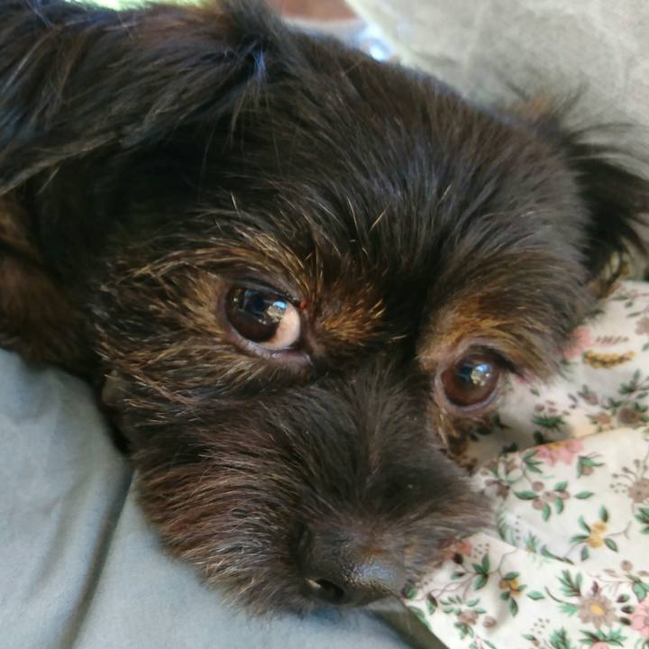 92e53c57 35e5 48e3 81f2 d8a3a78688b4