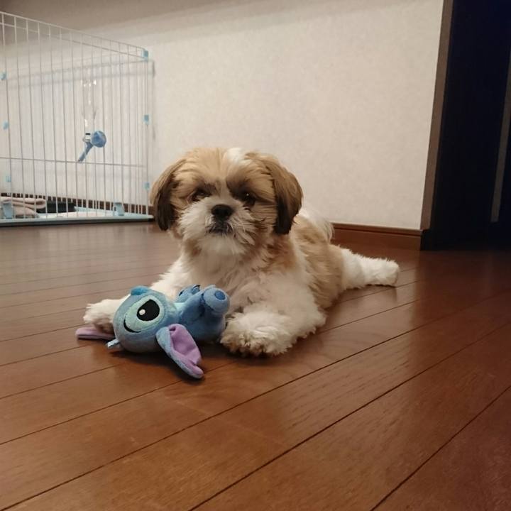 92e5a22c 5c02 41c0 8b94 6ff4a39a0c97