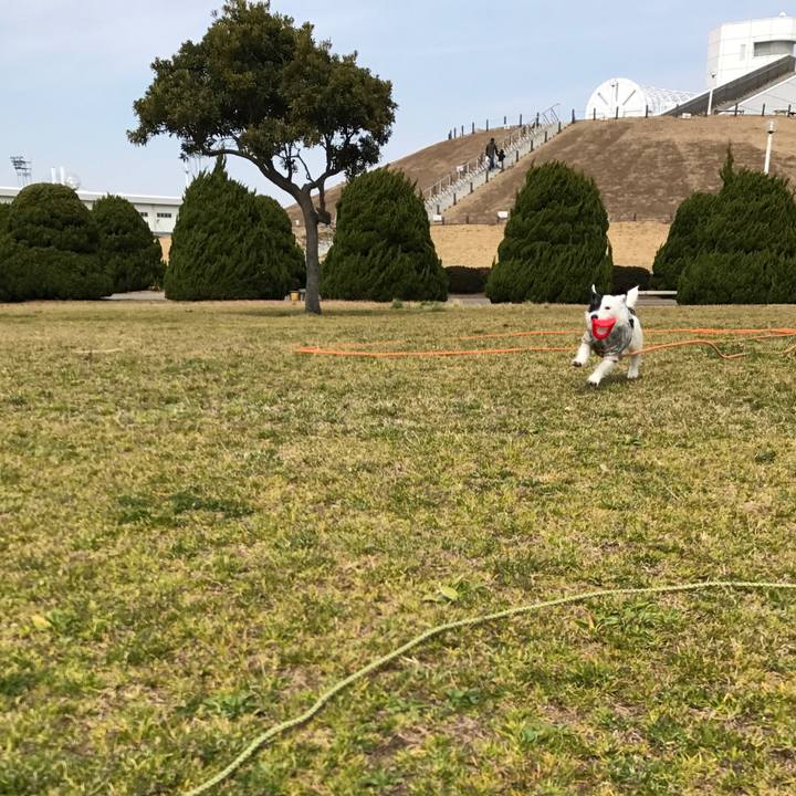 92e5feb5 90d9 4149 b177 23b0a7c381c6