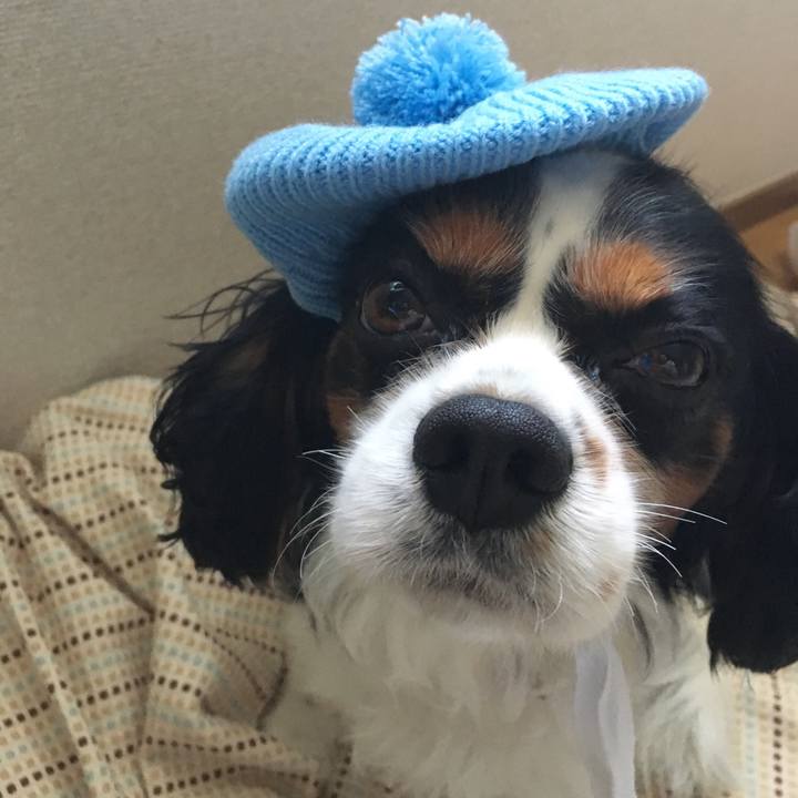 92e65bc8 bee3 48be 8ada ef2537cd506b