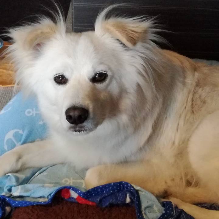 92e6633f d82b 47d7 aec4 cc58de231e1f