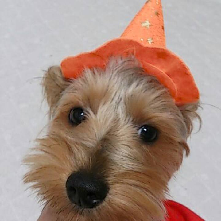 92e68958 679b 4f0d ba67 9bc4247a6cf5