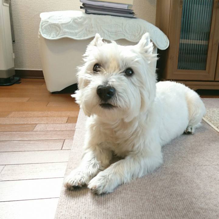 92e694cc bc6b 4a8d 92aa edba08d9d45e