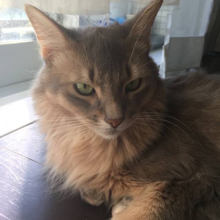 92e72661 c003 437e adbc 8770f3c2685a