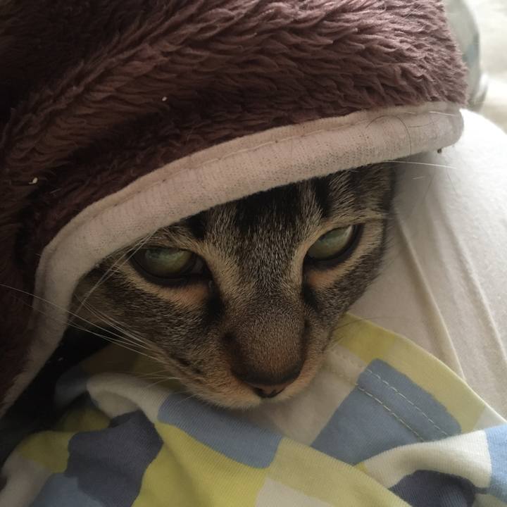 92e7485a c4c1 40e7 90f4 be663fa9ba37