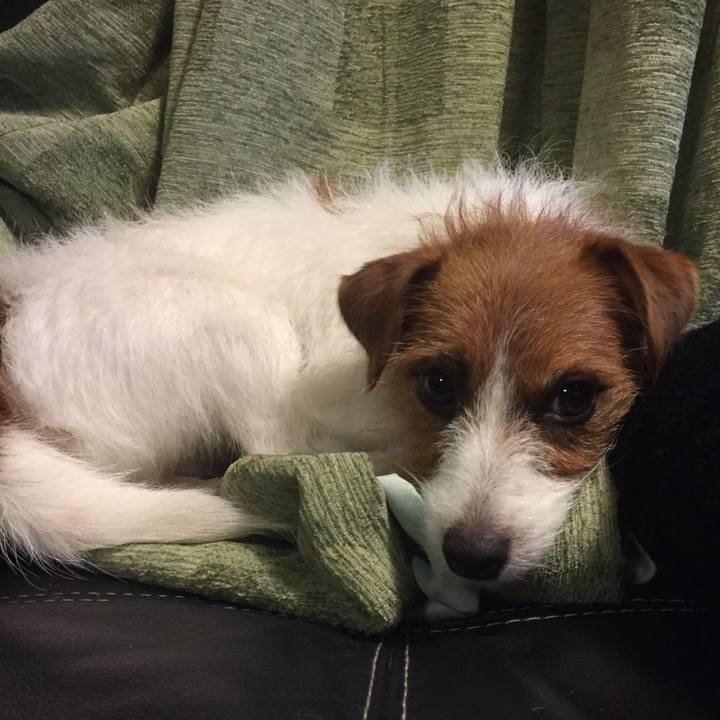 92e7bd1a 76d3 4bee a3aa 3412033c4dc8