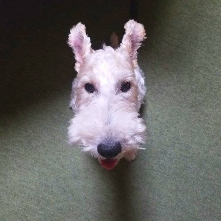 92e7c204 397a 4665 a2c4 4d05b536a359