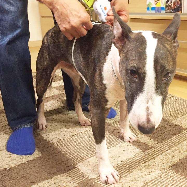 92e85966 9ce3 4746 8dc6 b7bc58419470