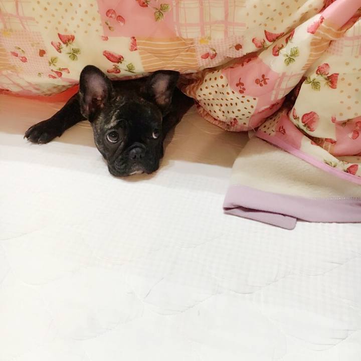 92e88ce0 fb9b 4c9e ba9c f7ada6788449