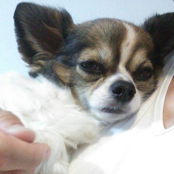 92e8bca6 bf3a 4984 9397 19bf969230f6