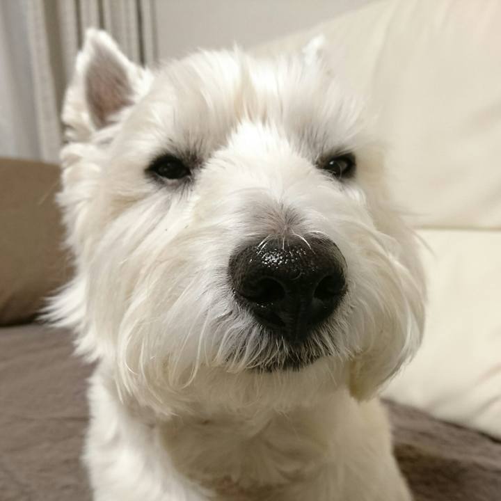 92e9861c 8741 46ab bb9b 9a1eca484c20