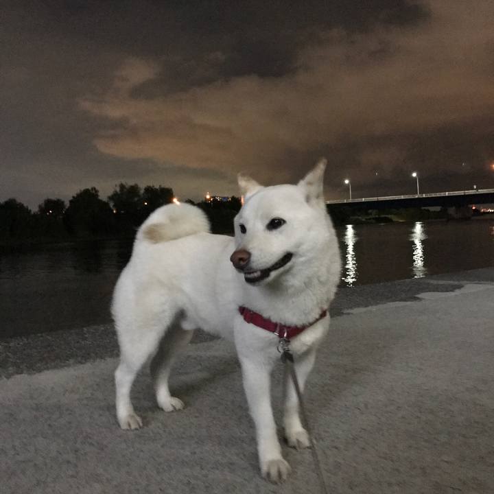 92e9e329 d412 4cf2 bcdf af4f449a840d