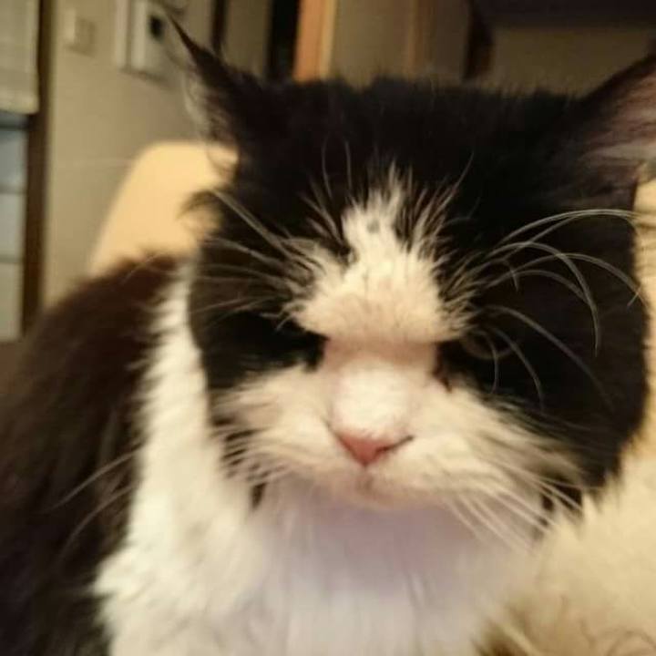 92ea2154 76dd 4214 9b42 766718b1f894