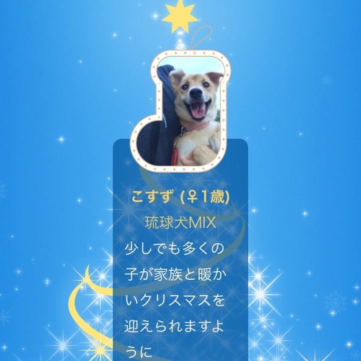 92eaa41c 6388 4fa9 b89a e092b69444c3