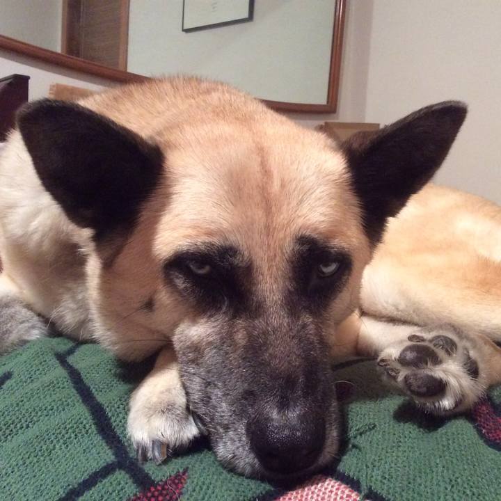 92eb69e5 d6c0 4695 81a6 7822f3ee90af