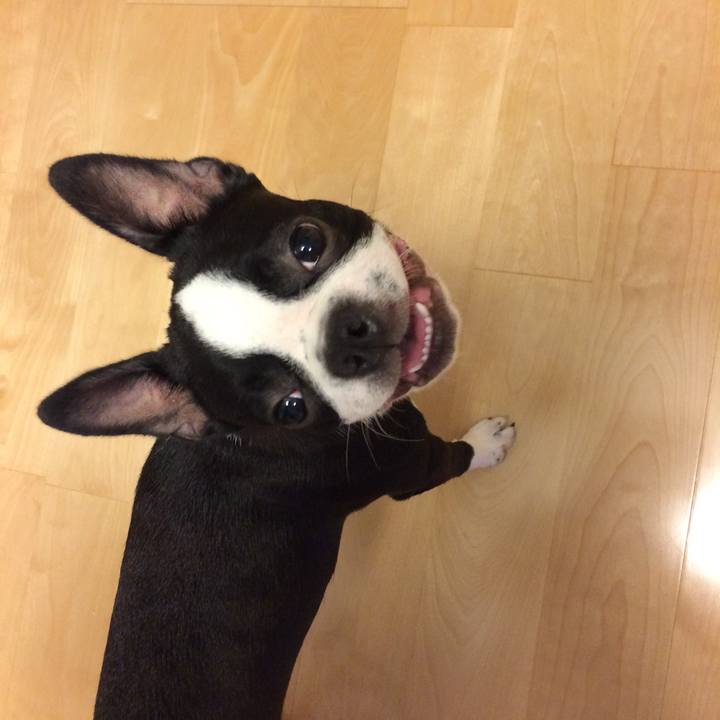 92eba04f 609a 447b 8ef5 6ce94e2f5cd5