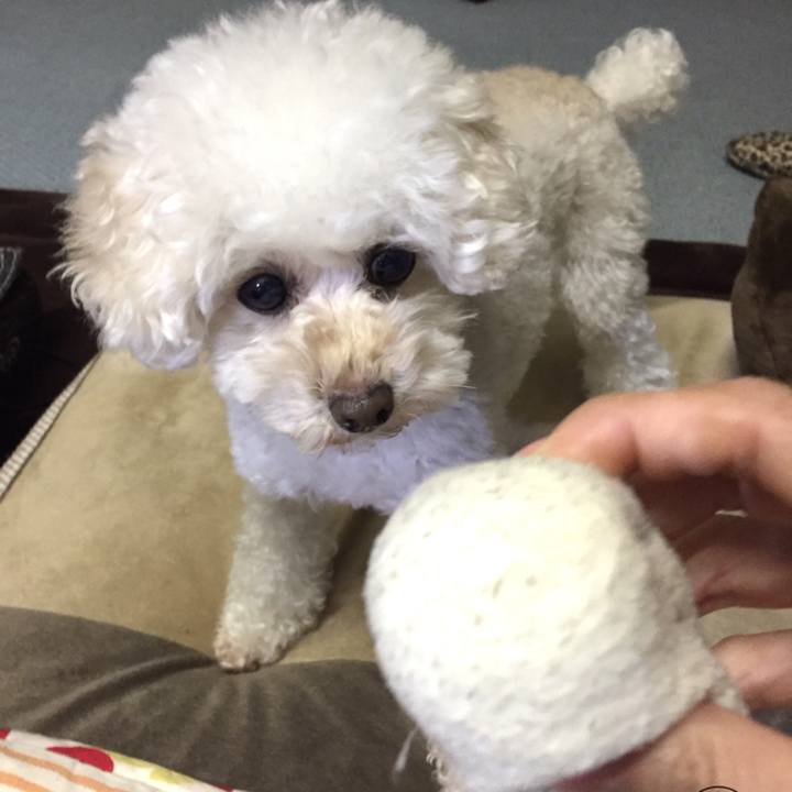 92ec84dc fcfb 4a93 bef8 bb516bc3a75d