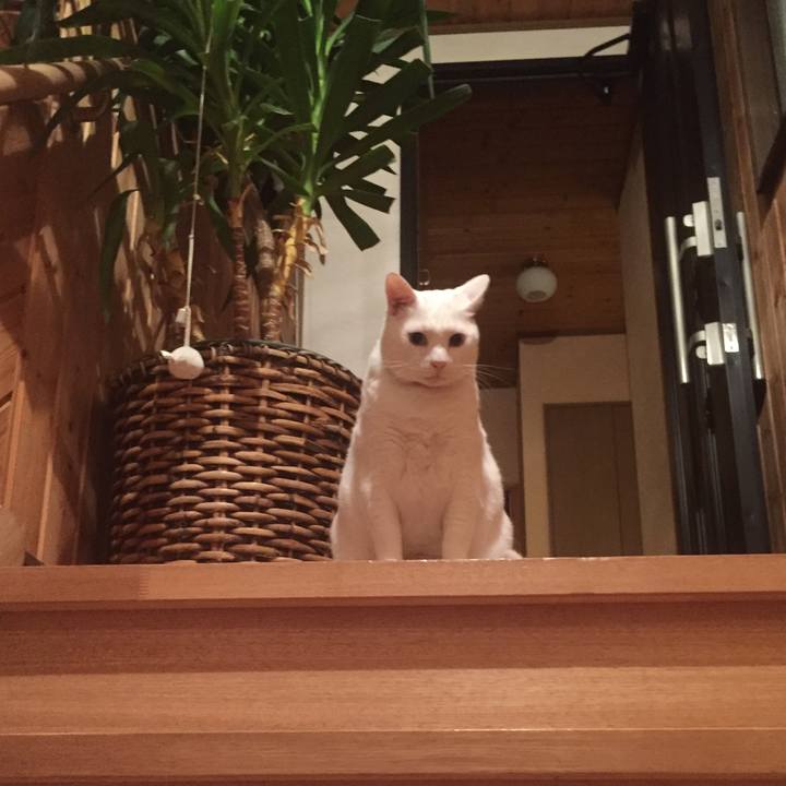 92ec907f 8b44 45c1 ab5c 4e3615dbb02a