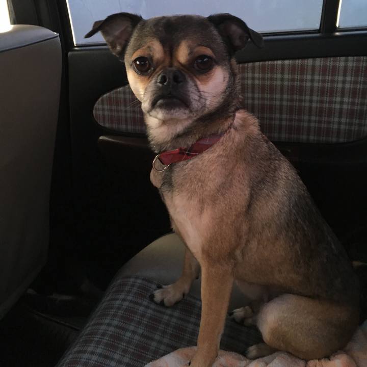 92ec97bf 7999 4ea7 ae71 7ccc394c955f