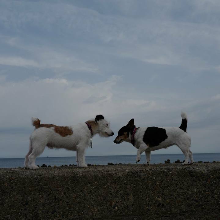 92ecade8 925d 4b07 9096 cfbf3d5d8d7b