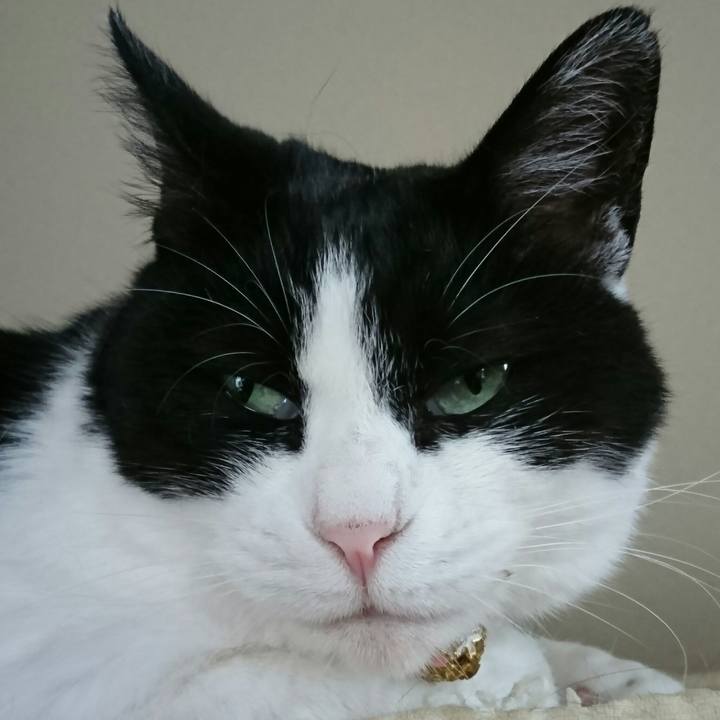 92ece84a ec6b 419e ace7 df299c30efbe